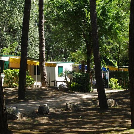Holiday Center Valdor Cavallino-Treporti Zewnętrze zdjęcie